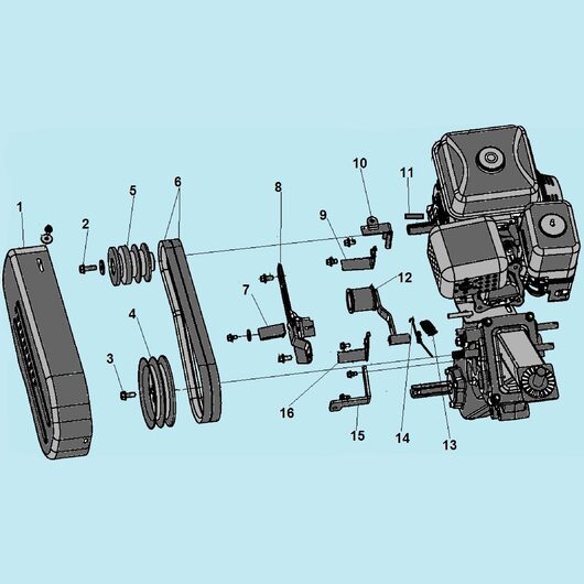 Кожух ремня и ремень Champion BC8724