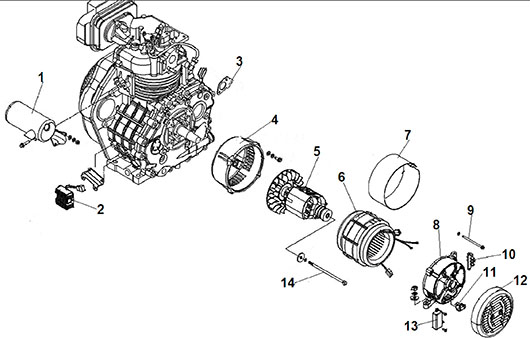 Ротор и статор Champion DG2200E