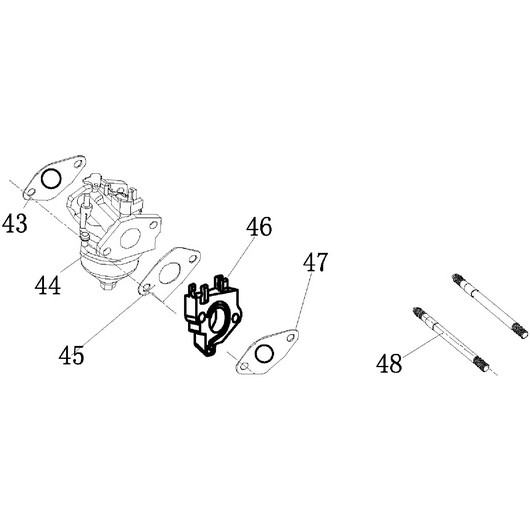 Карбюратор Champion GG7001EW