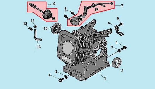 Картер Champion GS5562