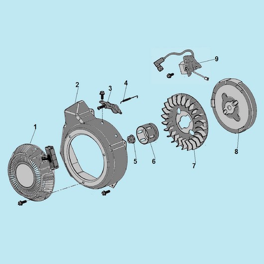 Стартер, магнето и маховик Champion IGG1200
