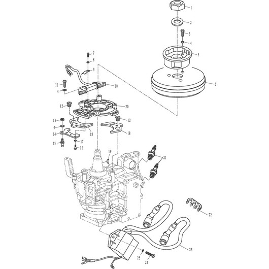 Магнето и маховик Toyama T9.8BMS