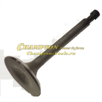 Клапан впускной DG2200