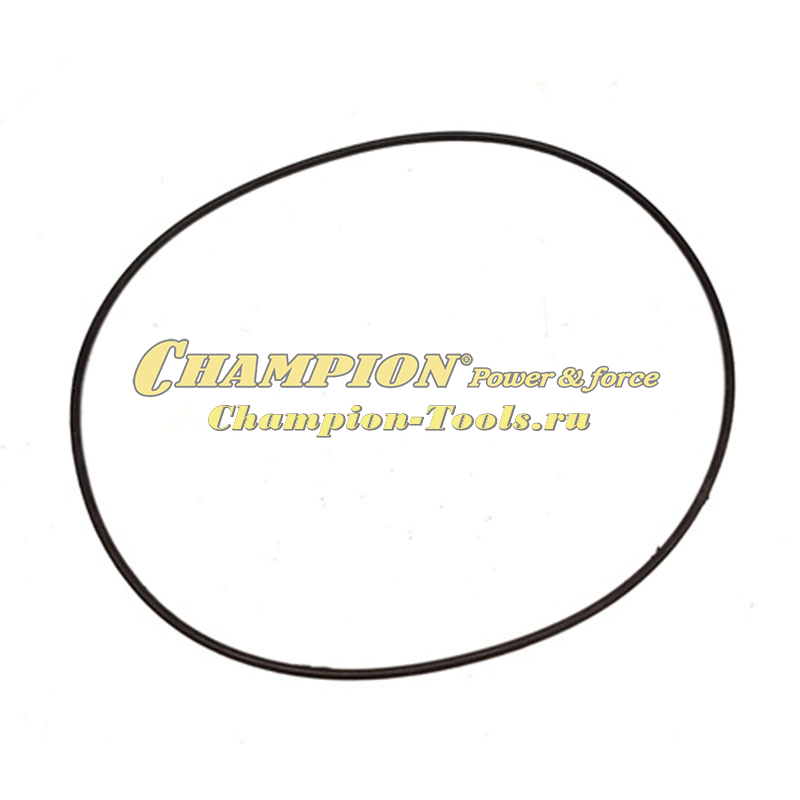 Кольцо уплотнительное крышки крыльчатки GHP40-2 до 11.2019 г.