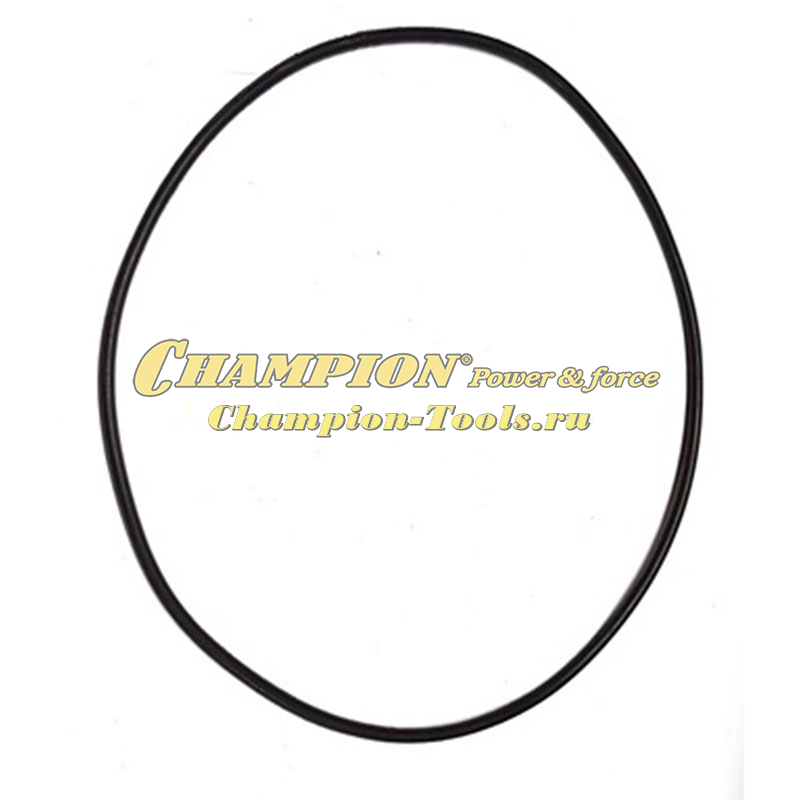 Кольцо уплотнительное корпуса помпы GP40,GP40-II