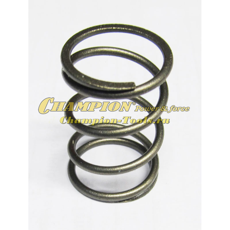 Пружина клапана GG1000, 1200, 1300, GP40, GP40 ( 2019 )