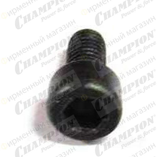 Болт крепления глушителя 245,254 М5х10