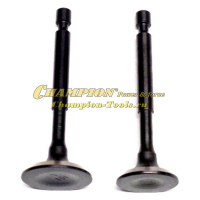 Клапан G100HK комплект 2 шт. замена на 500550071-0001