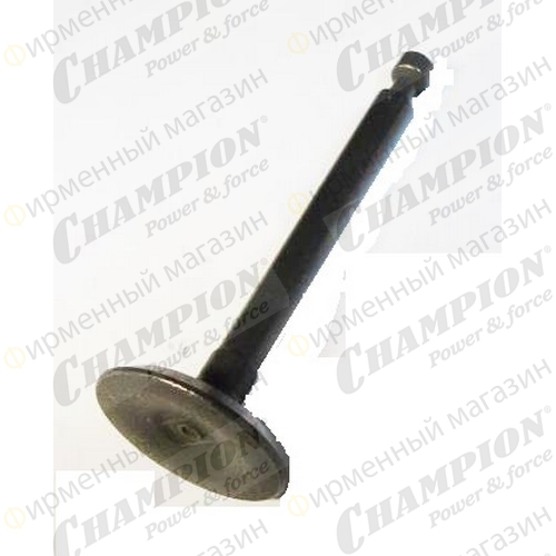 Клапан впускной IGG1000 см. SB1-1066 / 1067