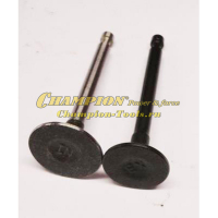 Клапан IGG1100 комплект 2 шт. см. 026100005B31F000 + 026100007B31F000