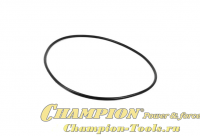 Кольцо уплотнительное корпуса помпы GTP80 GTP81 DTP81E 265х5,3 (старый артикул 39090100400)