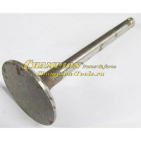 Клапан впускной DG10 (не поставляется)