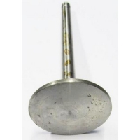 Клапан впускной DG20000