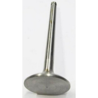 Клапан выпускной DG20000