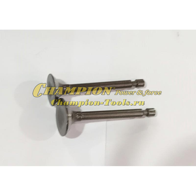 Клапан ST246 комплект 2 шт см. 500550033-0001 / 012010001400+012010001300