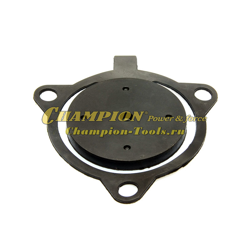 Клапан помпы GP50,52/DP50 обратный см.039021800700