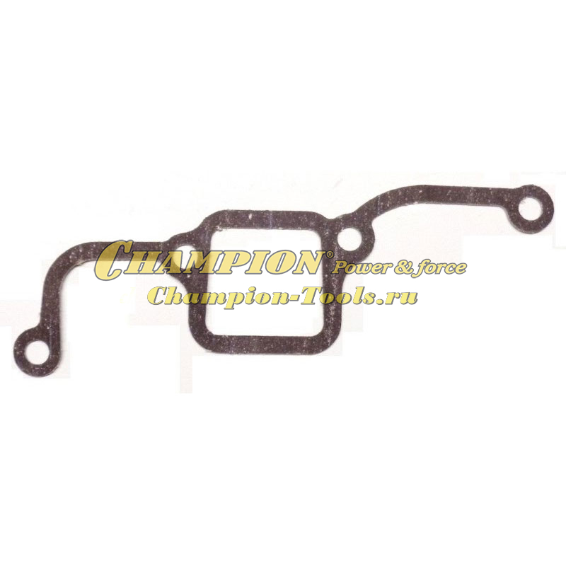 Прокладка впускного коллектора DG3601E