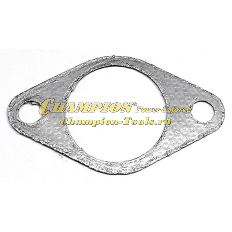 Прокладка под корпус воздушного фильтра DG10000E/E3