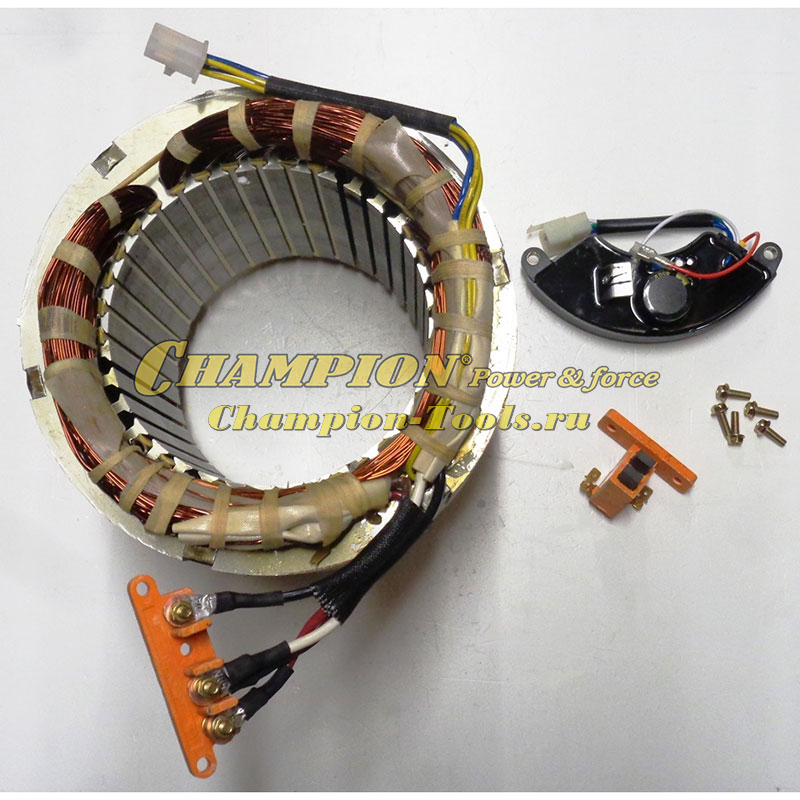 Статор DG10000E комплект (AVR+щетки) см. 204332904001