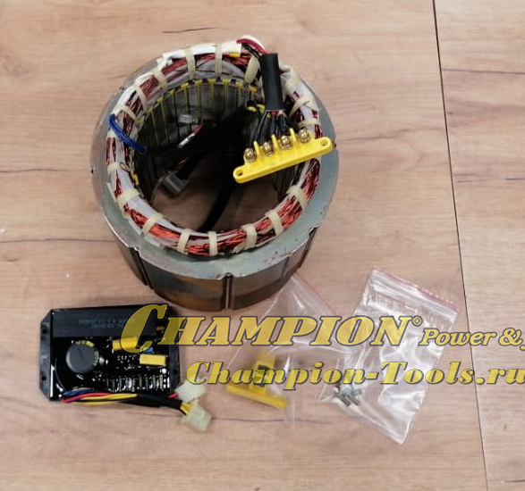 Статор DG10000E3 комплект ( AVR+щетки )