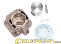 Поршневая группа TS410, 420 (50мм)