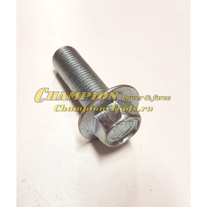 Болт крепления шкива двигателя BC5602 3/8-24х28